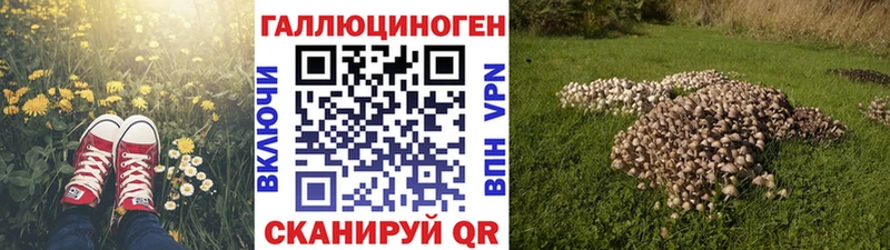 Псилоцибиновые грибы Cubensis  Новочебоксарск 